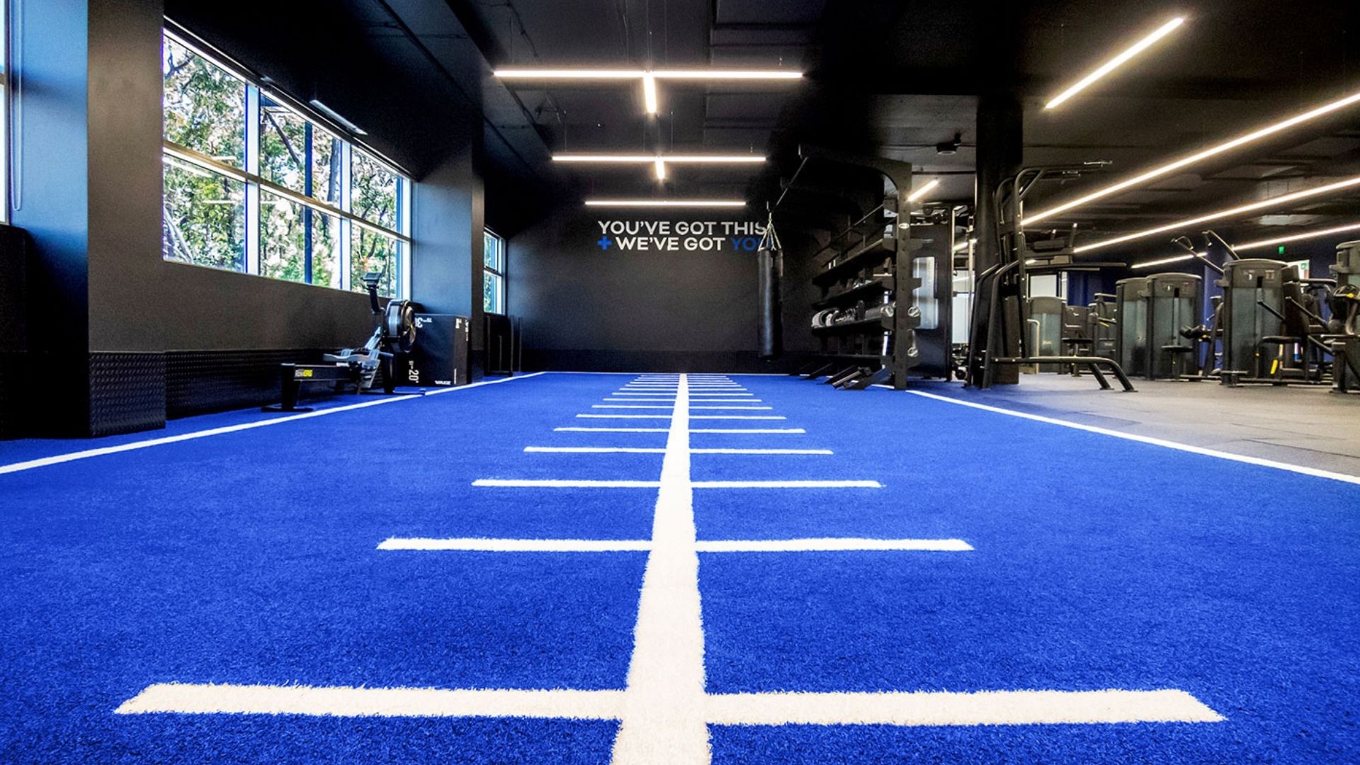 Blue turf lane marked with white lines