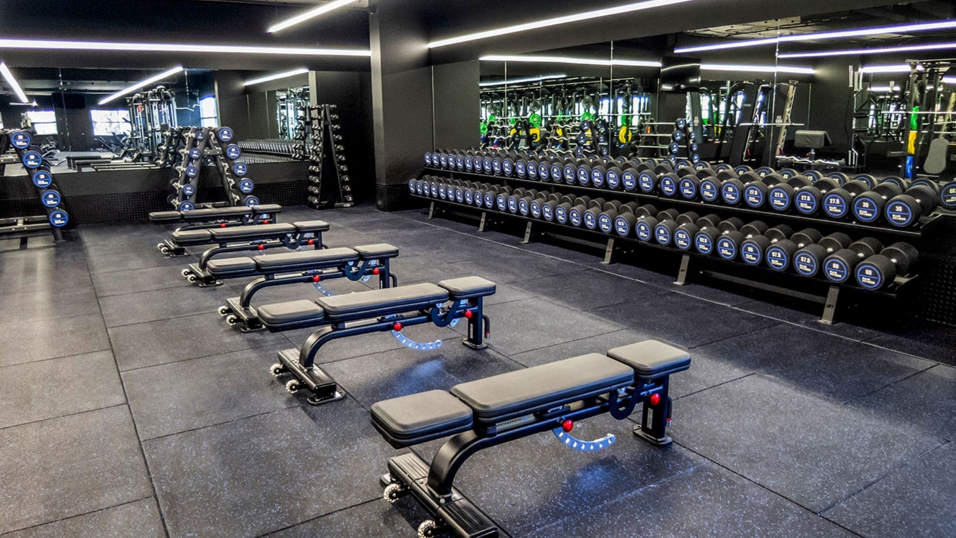 Dumbbell wall and benches