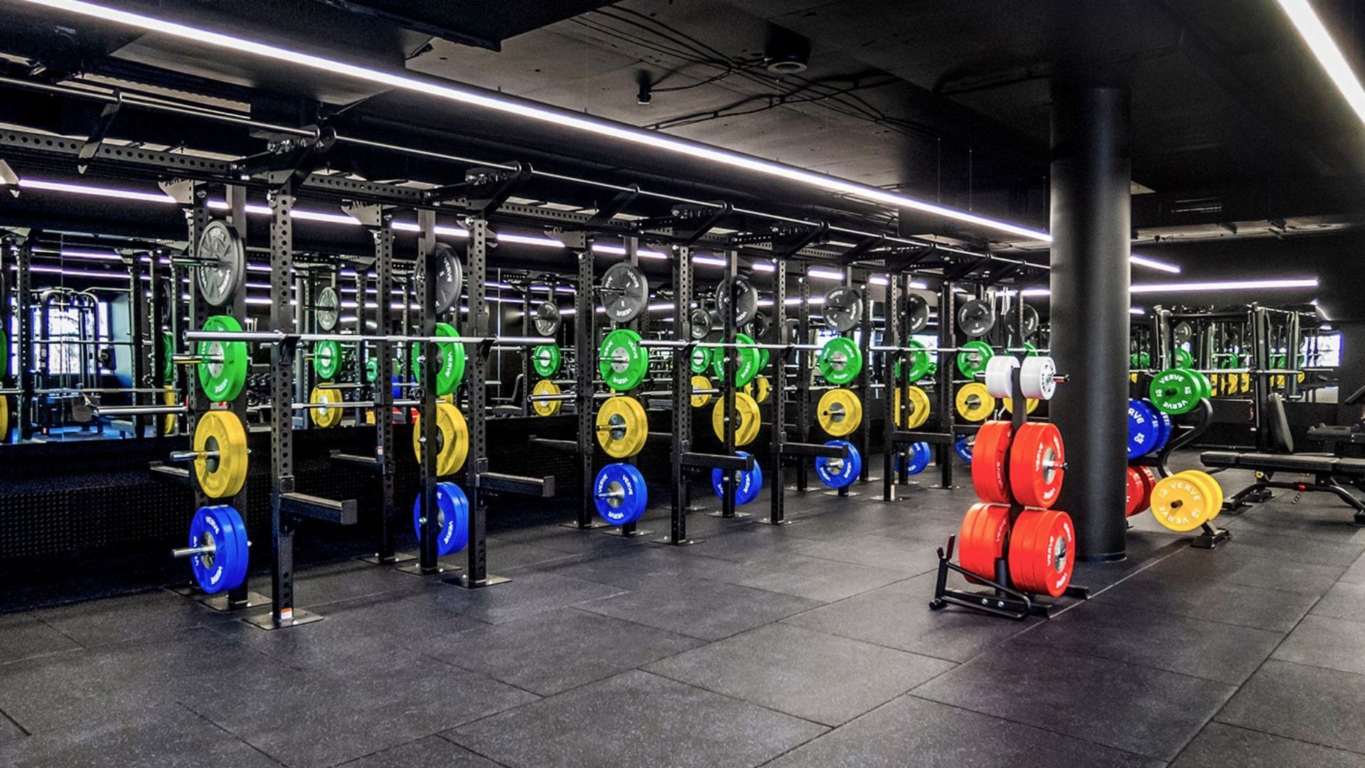Squat racks loaded with coloured bumper plates