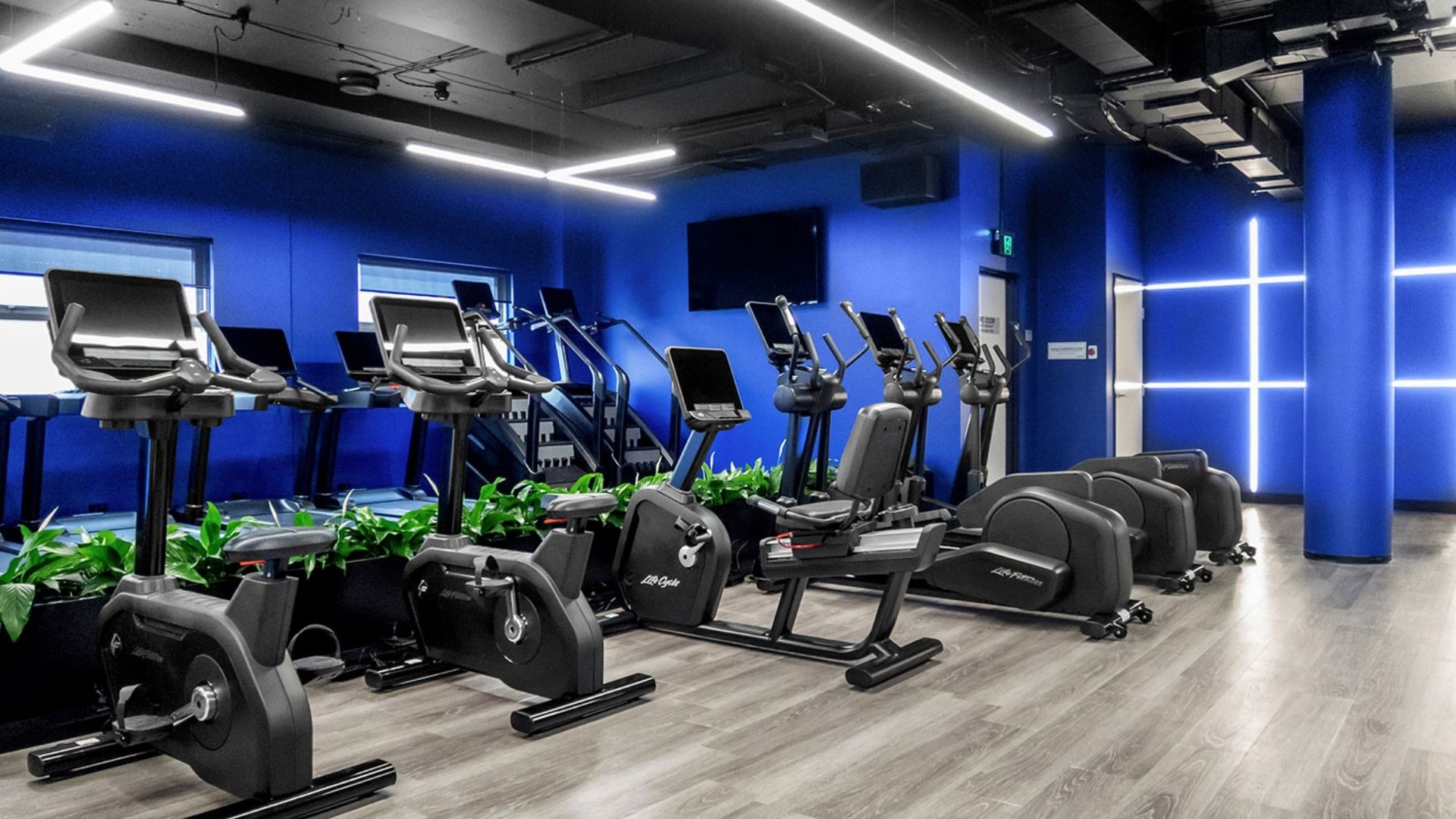 Cardio zone against a deep blue wall