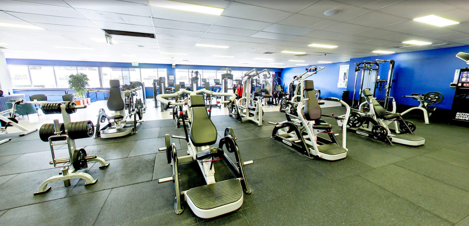 The training floor at Plus Fitness Bankstown, machines and benches under the windows