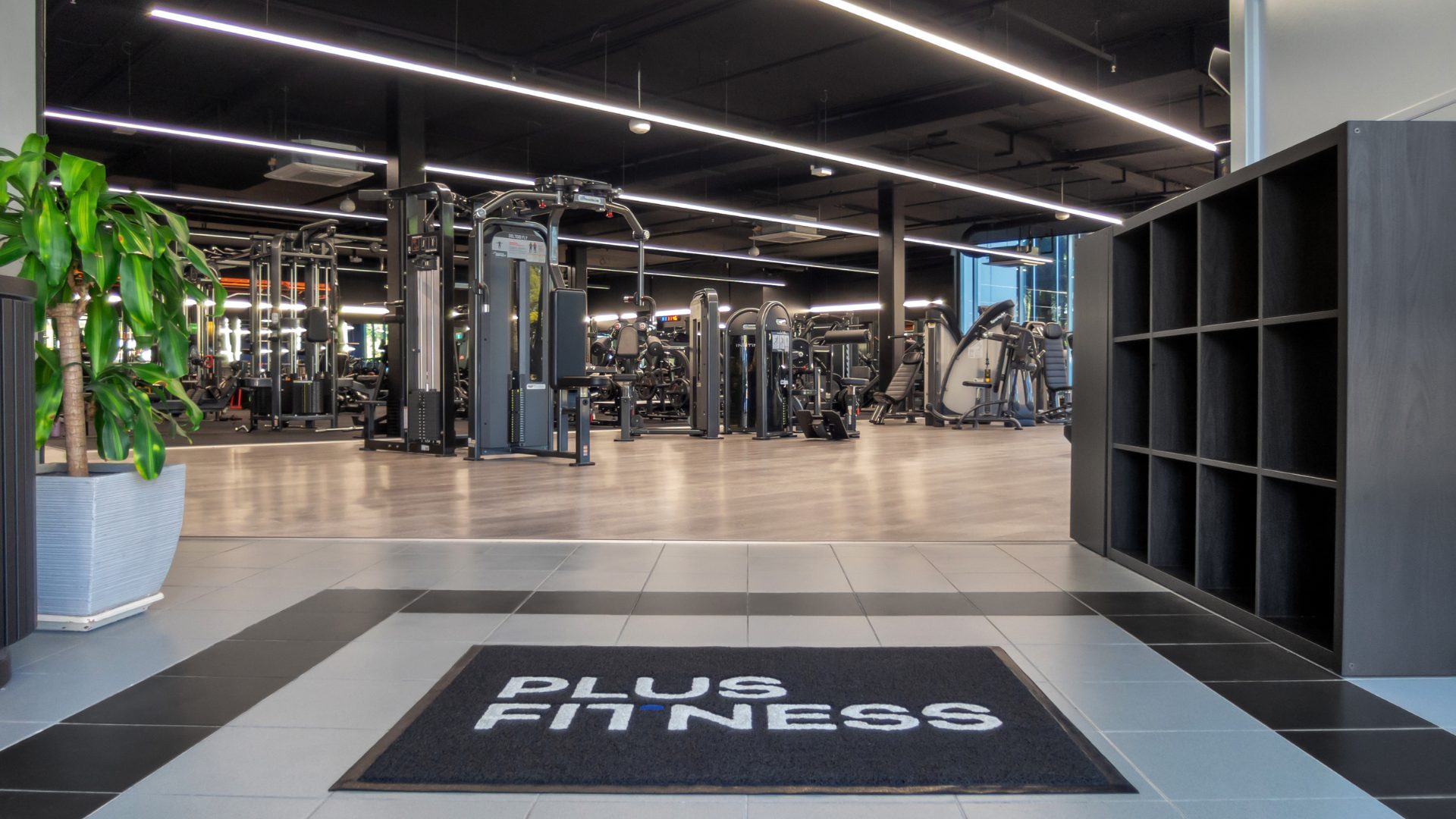 The entry at Plus Fitness Frenchs Forest looking onto the training floor