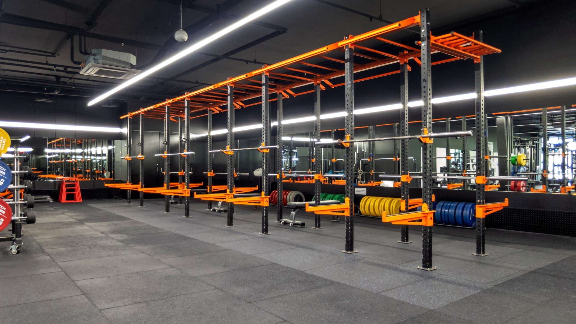 The functional rig running the length of the training floor at Plus Fitness Frenchs Forest
