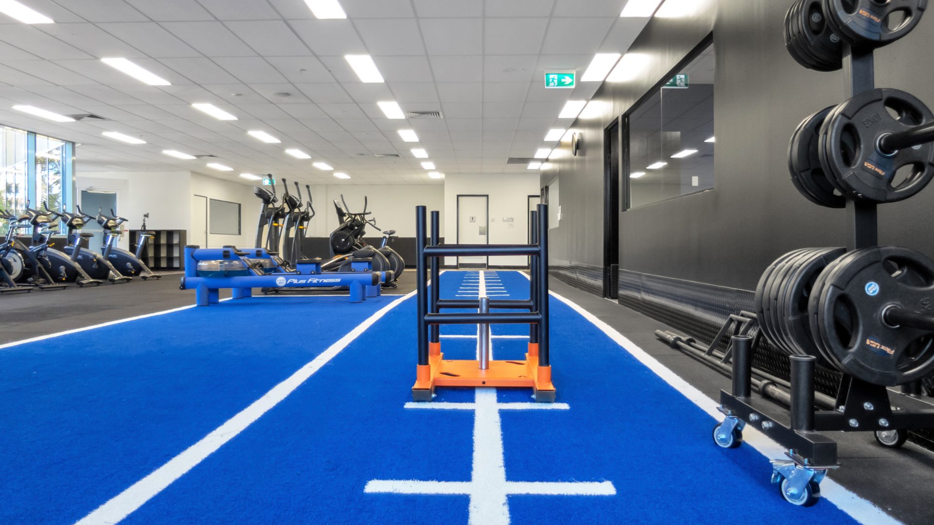 The turf lane with sled at Frenchs Forest