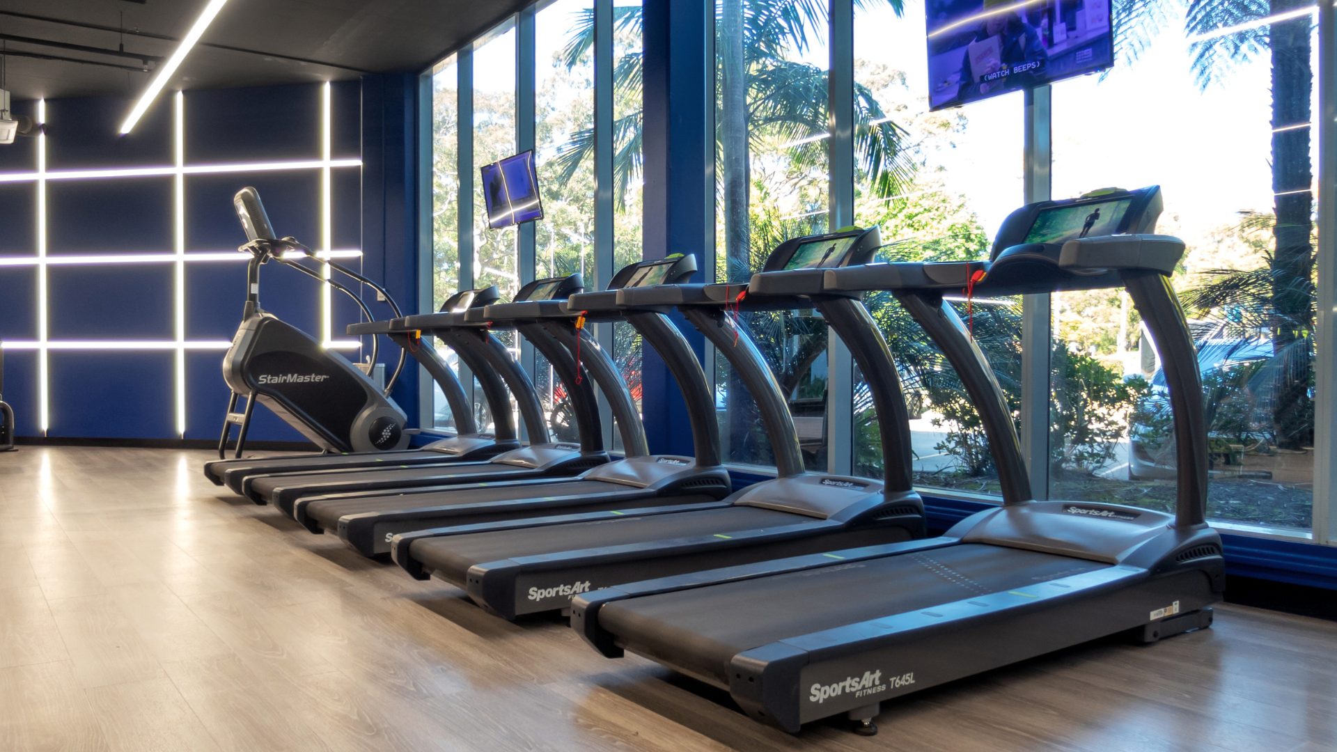Treadmills lined up along the windows